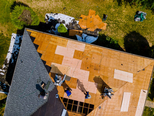 Best Roofing Contractor Near Me  in Cortland West, NY