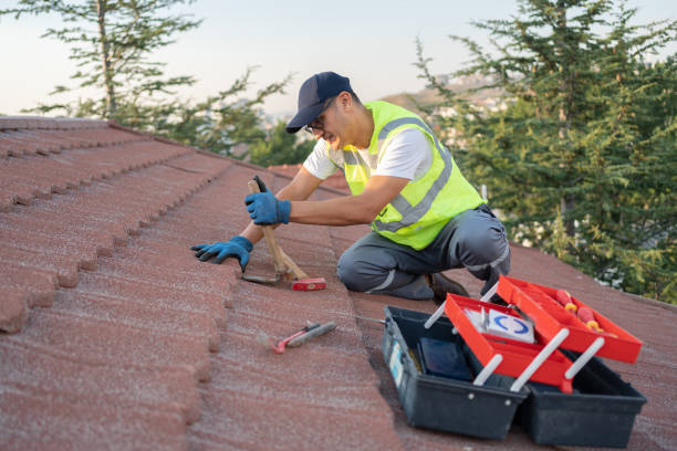 Best Roof Waterproofing Services  in Cortland West, NY