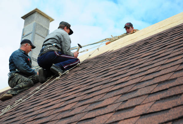 Best Residential Roofing Contractor  in Cortland West, NY